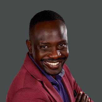 Built-in multiple color schemes