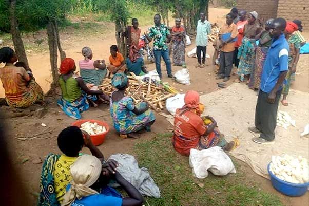 Built-in multiple color schemes